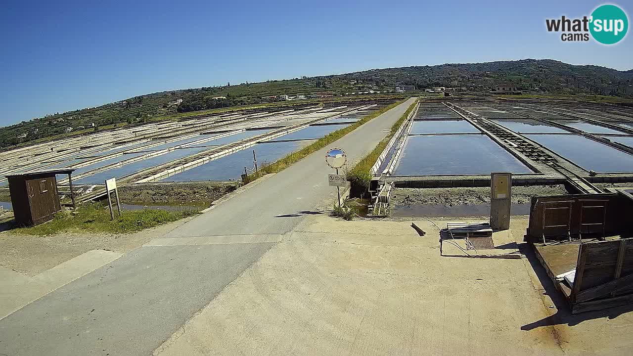 ﻿Sečovlje Salina Nature Park – KPSS