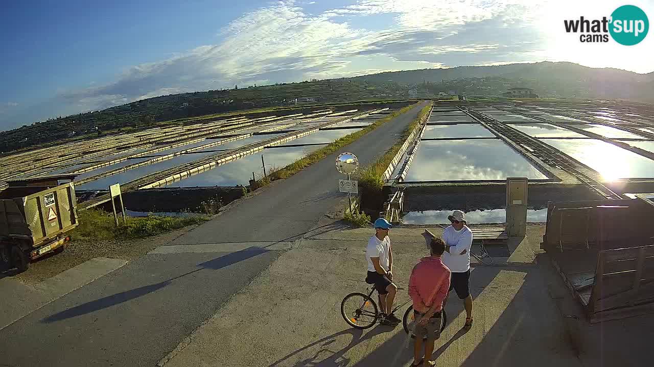 Krajinski Park Sečoveljske Soline