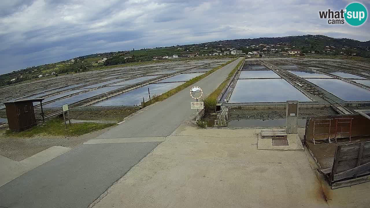 Sezza – Panorama e le saline