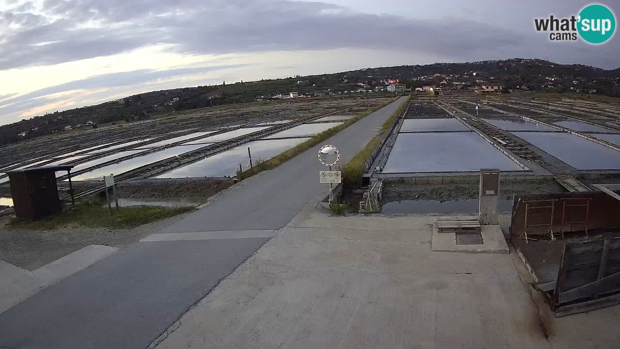 ﻿Sečovlje Salina Nature Park – KPSS