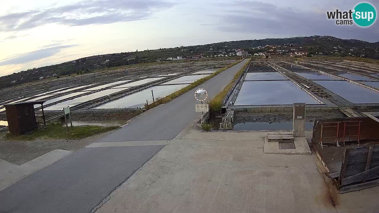 ﻿Sečovlje Salina Nature Park – KPSS
