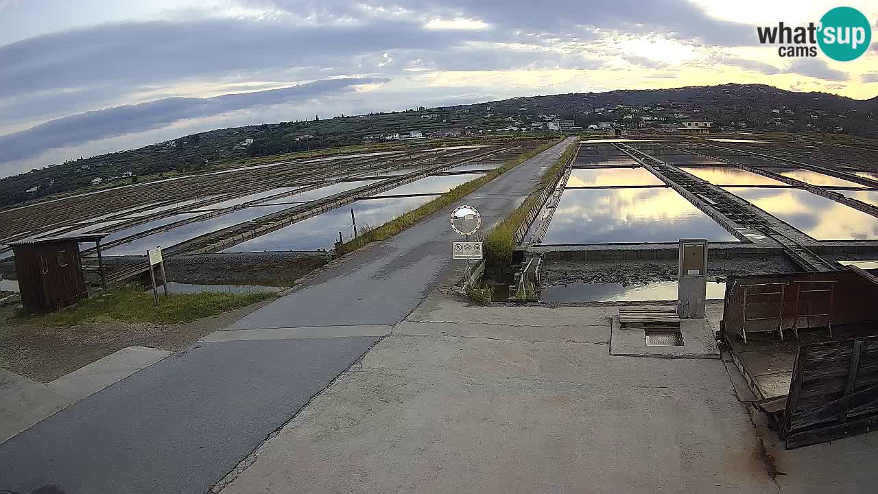 Krajinski Park Sečoveljske Soline