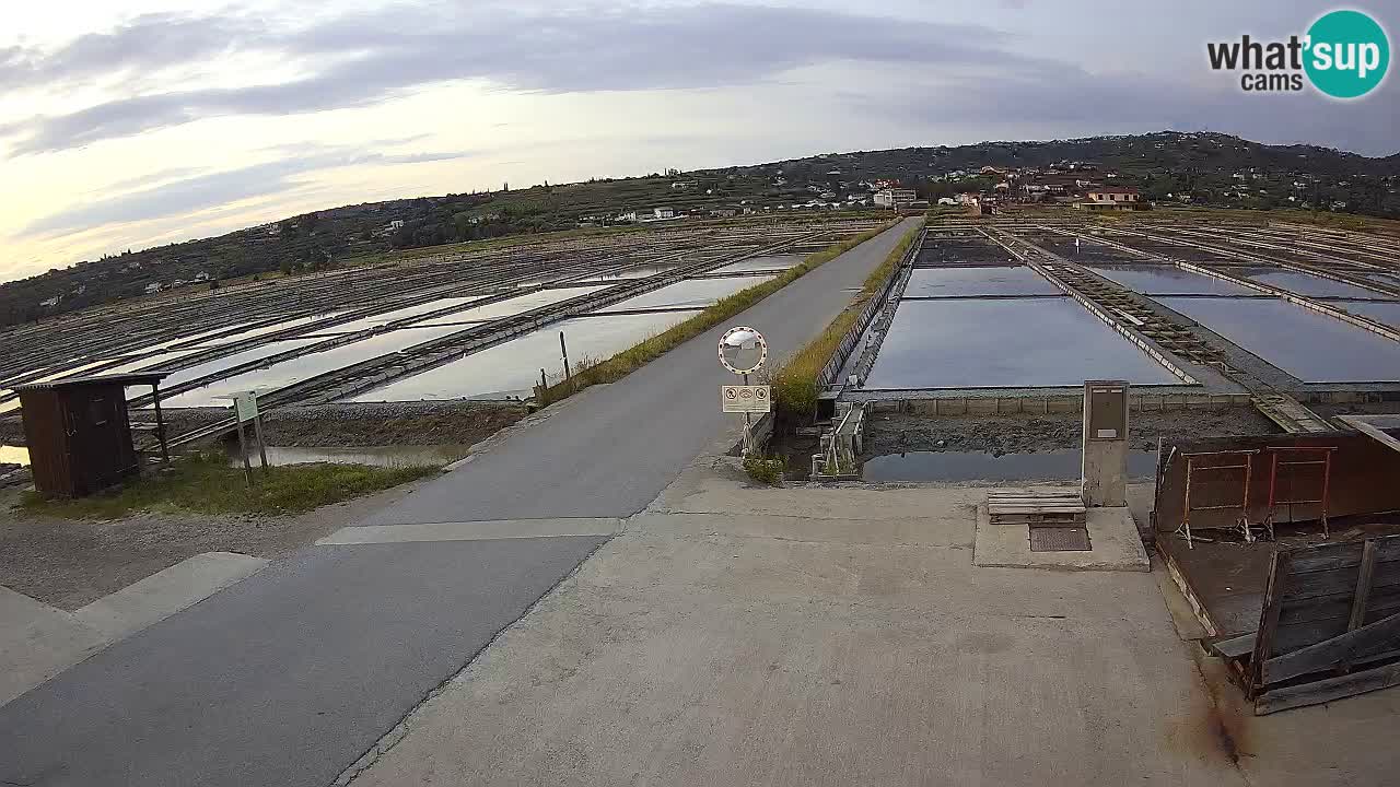 Sečovlje Salina Nature Park
