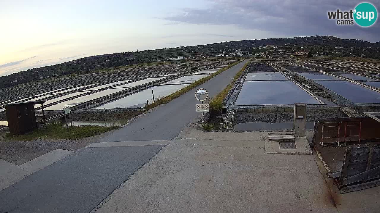 Sezza – Panorama e le saline