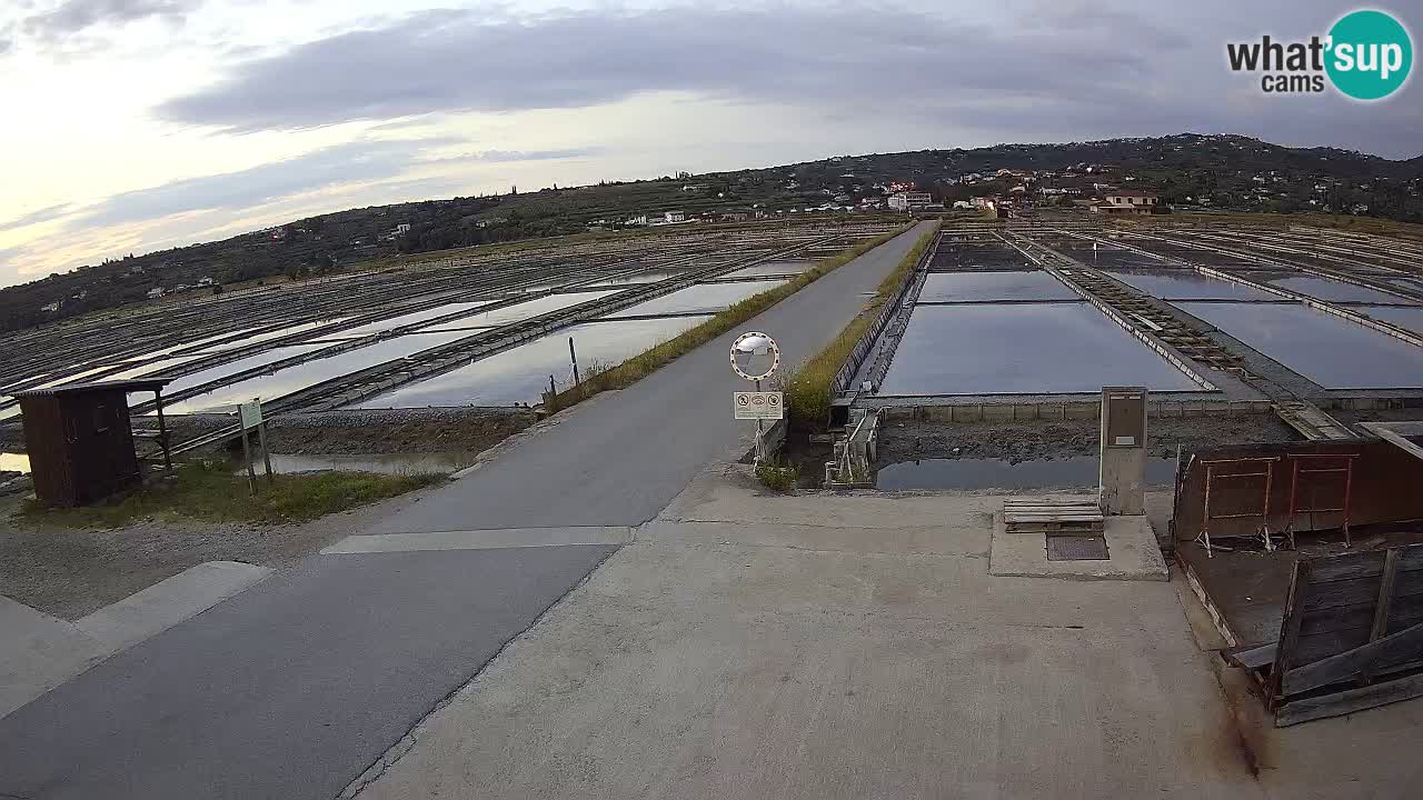 Sečovlje Salina Parque Natural