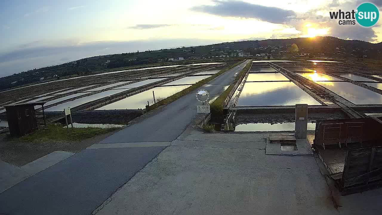 Naturpark der Salinen von Sečovlje