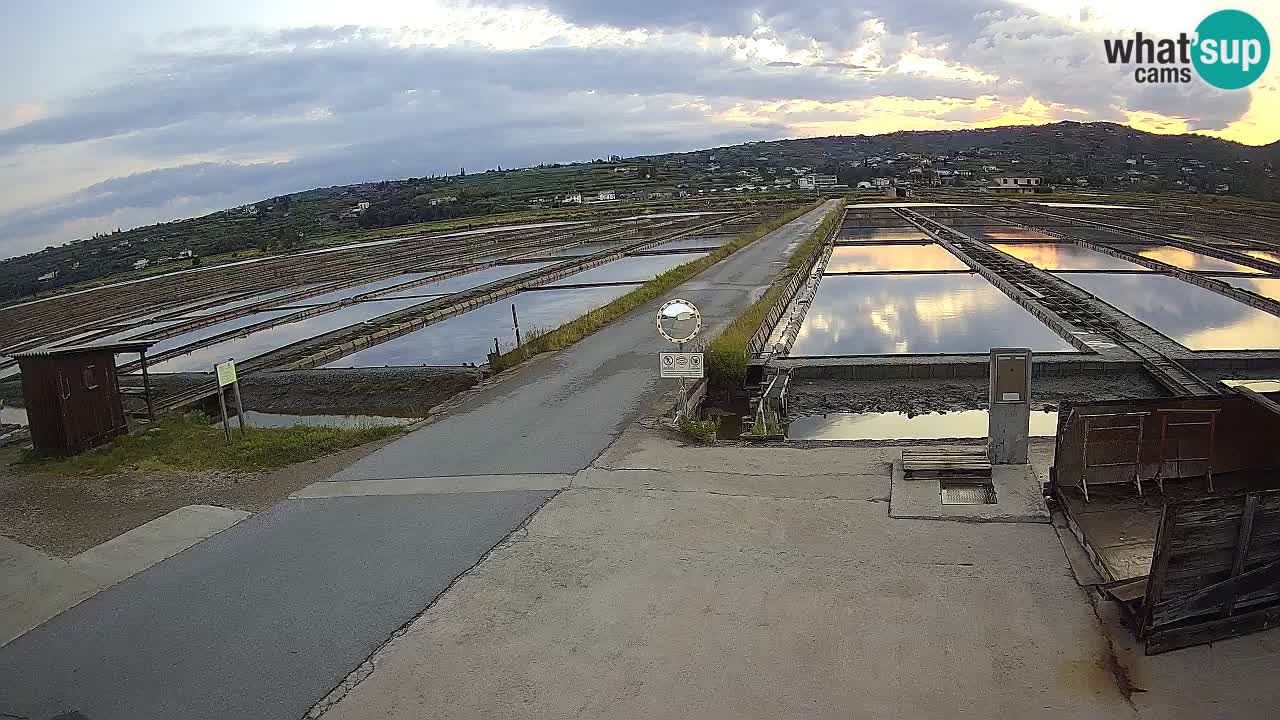 Sečovlje Salina Parque Natural