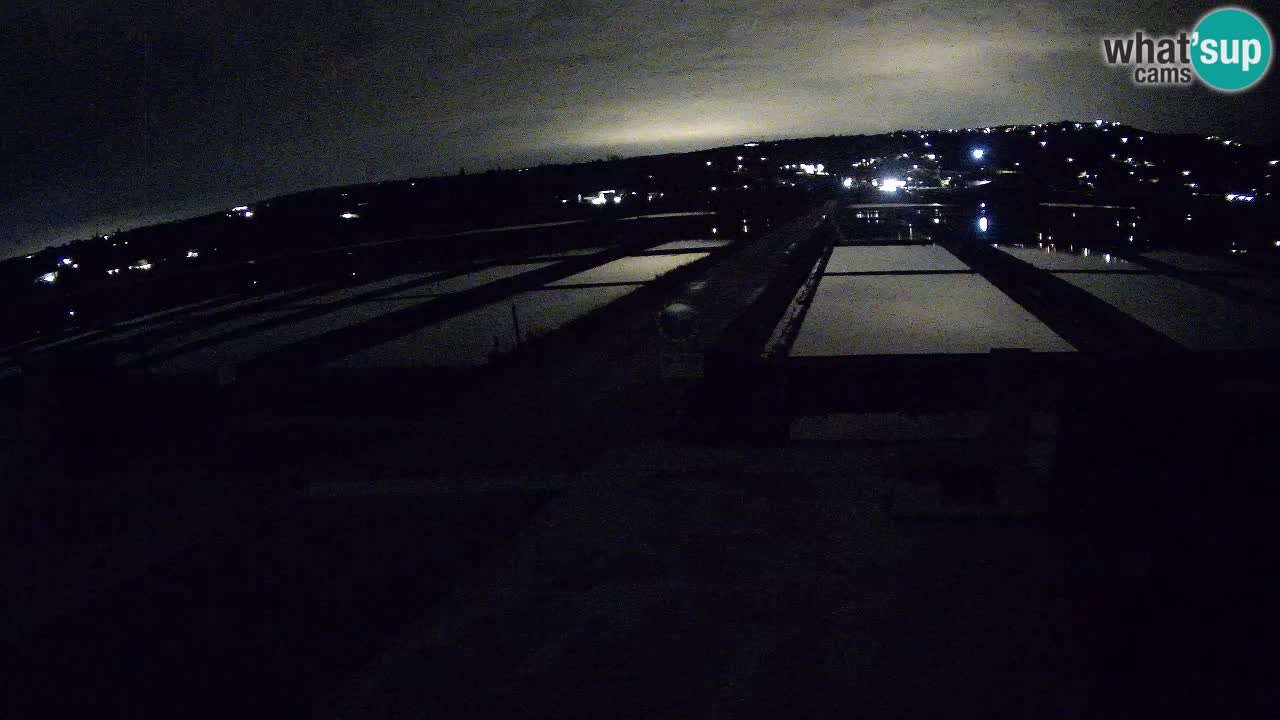Krajinski Park Sečoveljske Soline