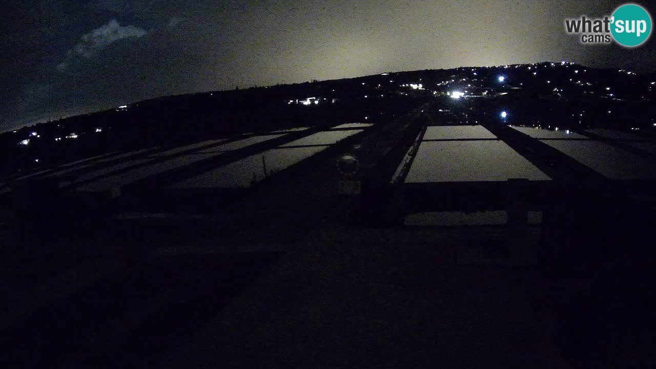 Sečovlje Salina Parque Natural