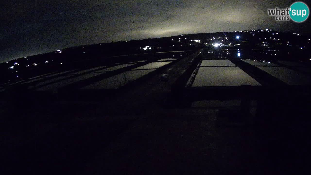 Sečovlje Salina Parque Natural