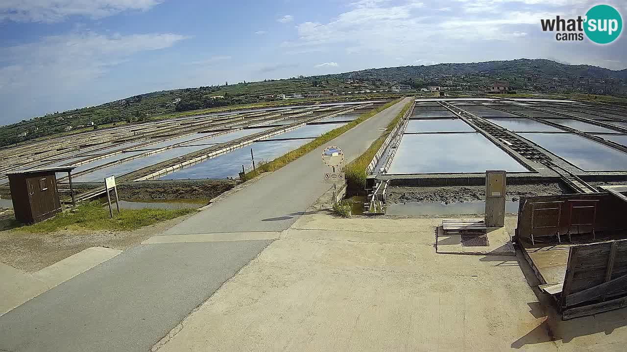 Krajinski Park Sečoveljske Soline