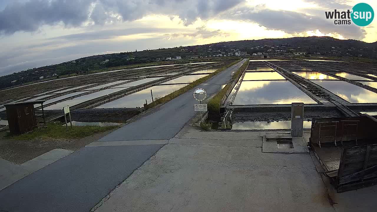 Sečovlje Salina Nature Park