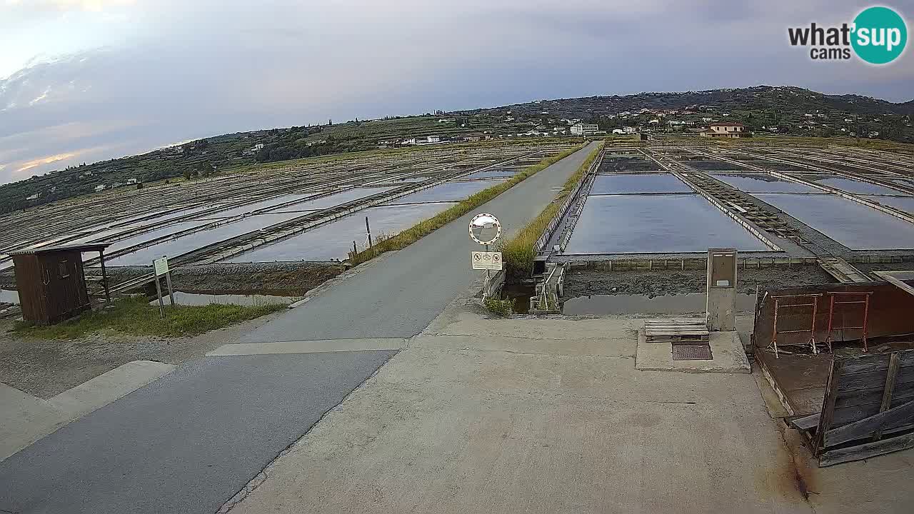 Krajinski Park Sečoveljske Soline