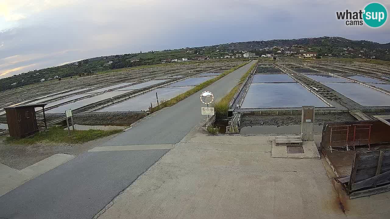Krajinski Park Sečoveljske Soline