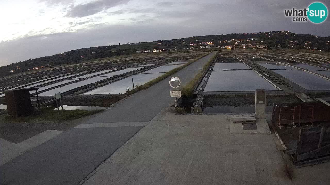 ﻿Sečovlje Salina Nature Park – KPSS