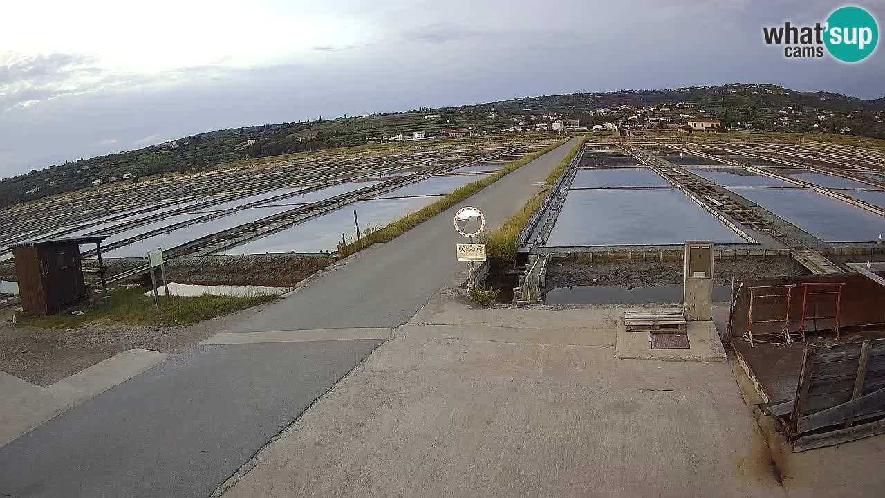 Parco Naturale Saline di Sicciole