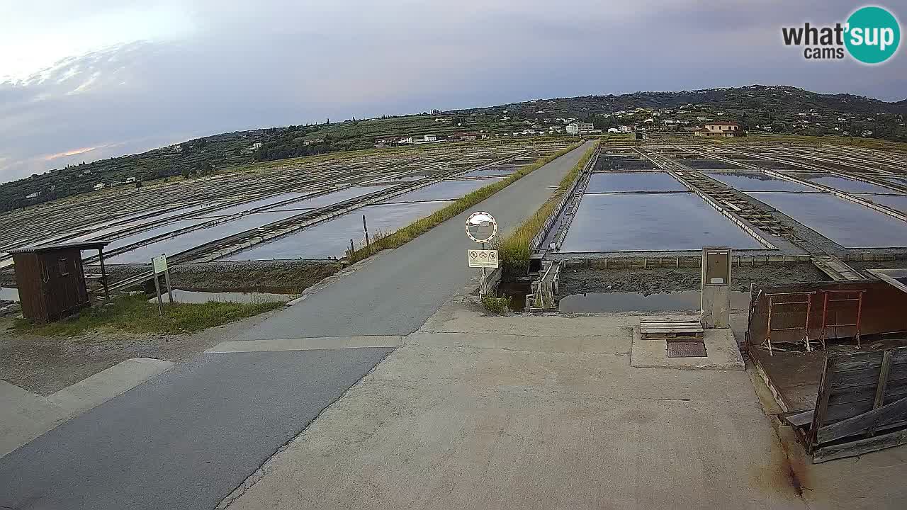 Park prirode Sečovlje Salina