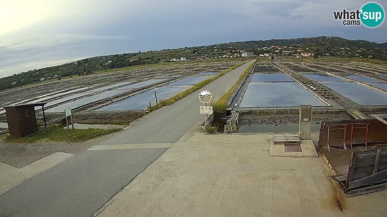 Park prirode Sečovlje Salina