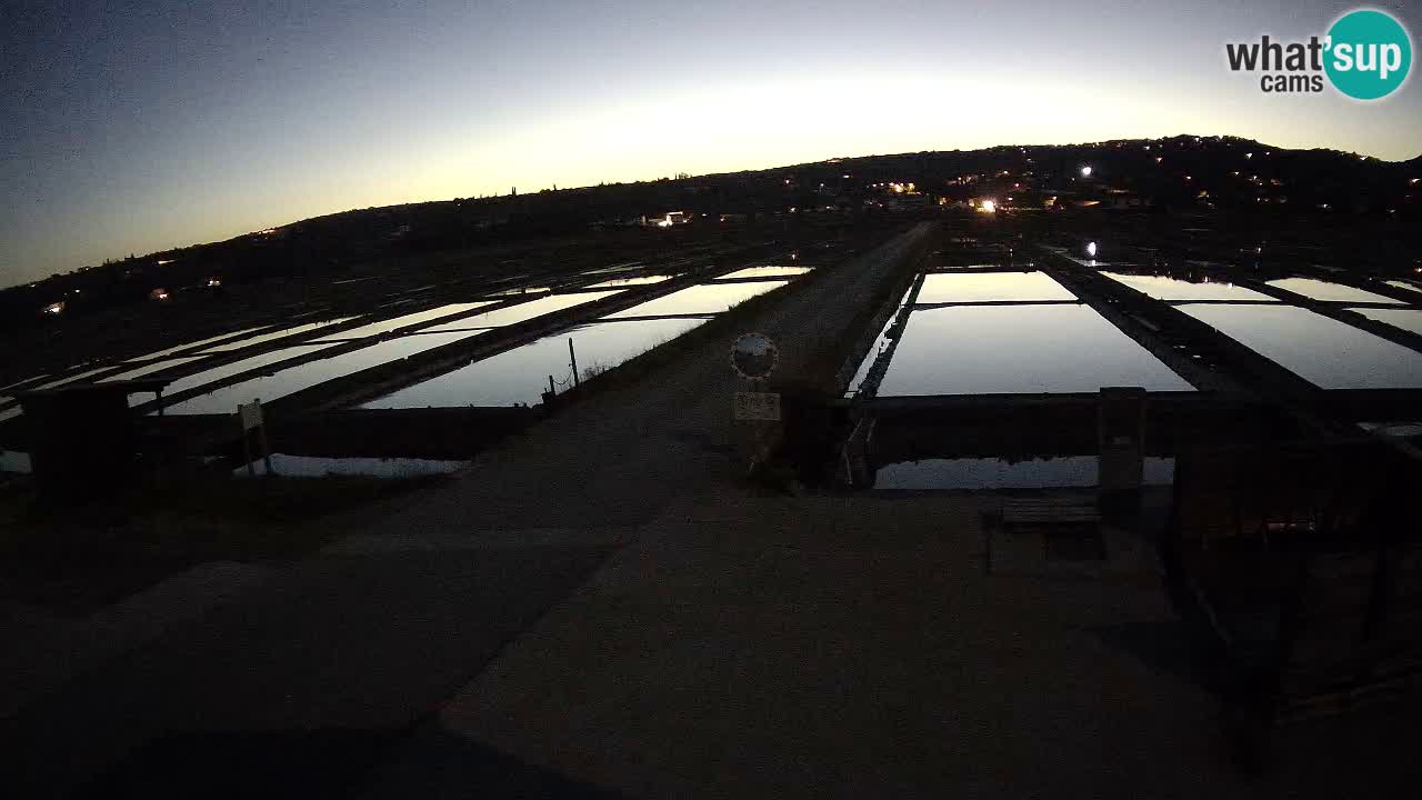 Krajinski Park Sečoveljske Soline