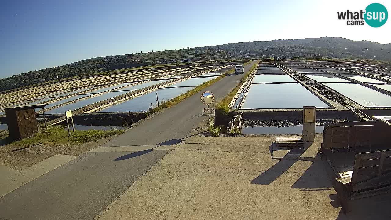 Sečovlje Salina Parque Natural