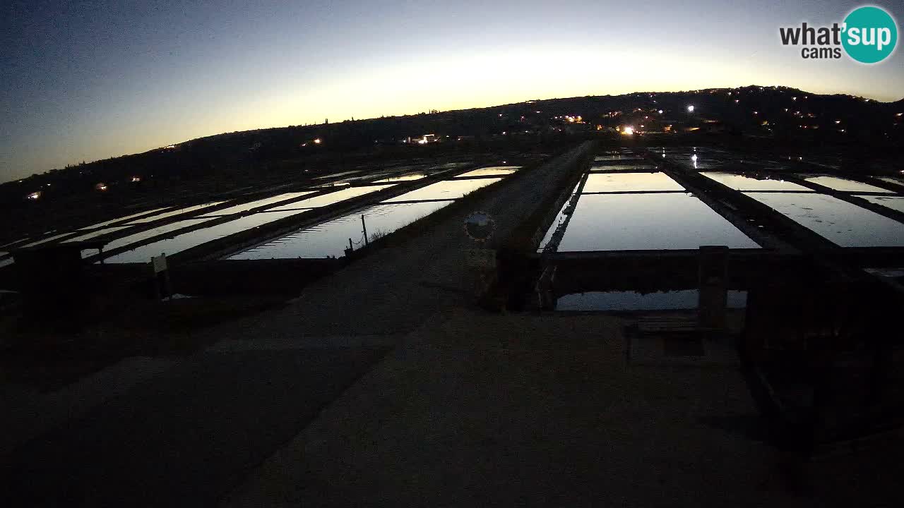 ﻿Sečovlje Salina Nature Park – KPSS