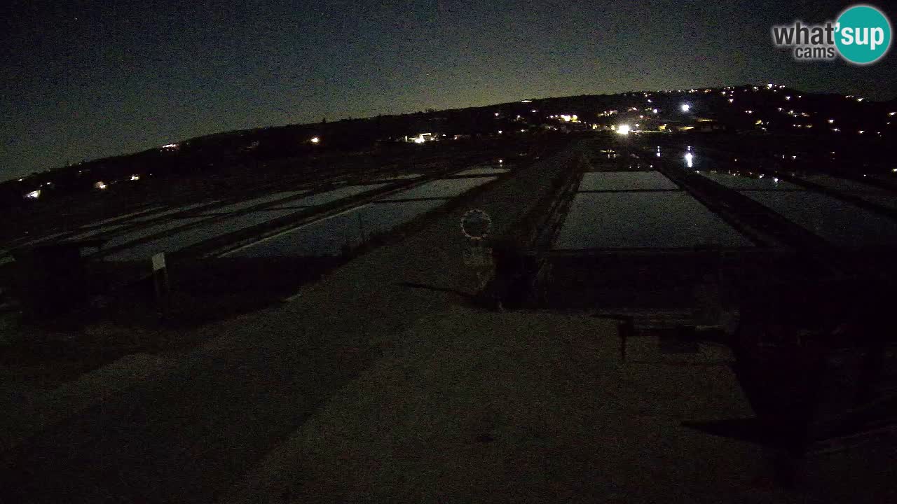 Krajinski Park Sečoveljske Soline