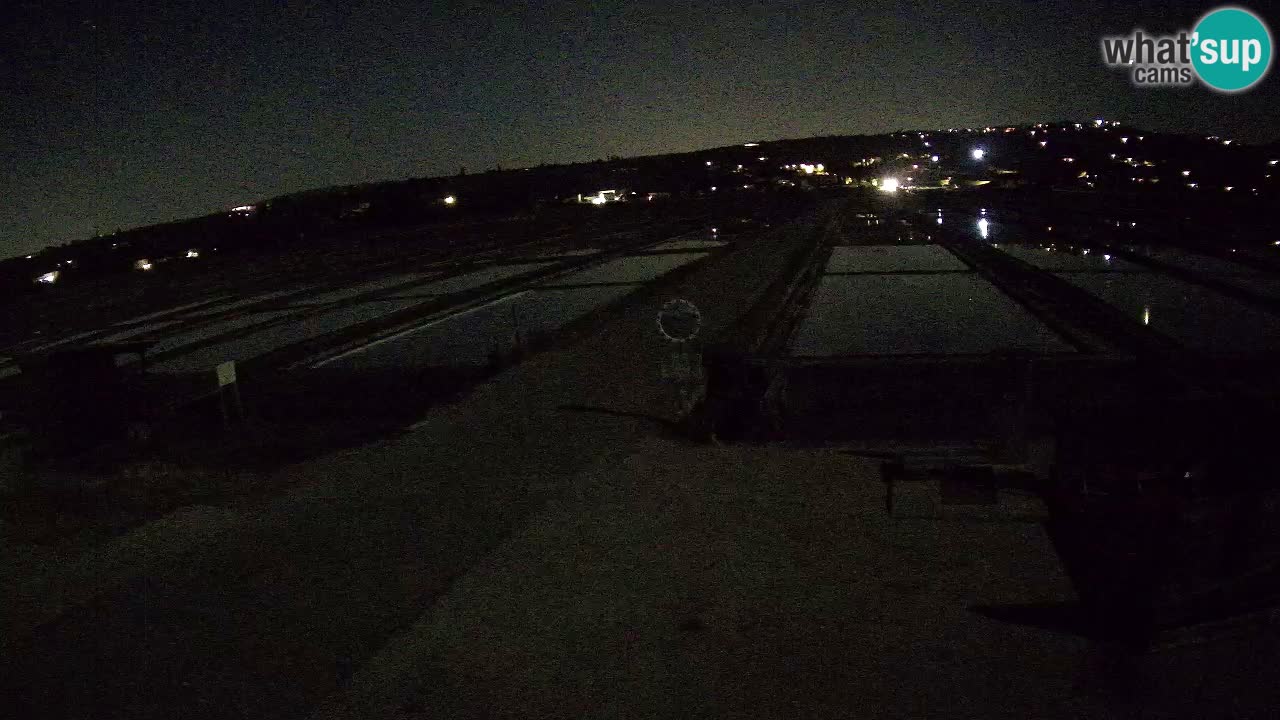 Krajinski Park Sečoveljske Soline