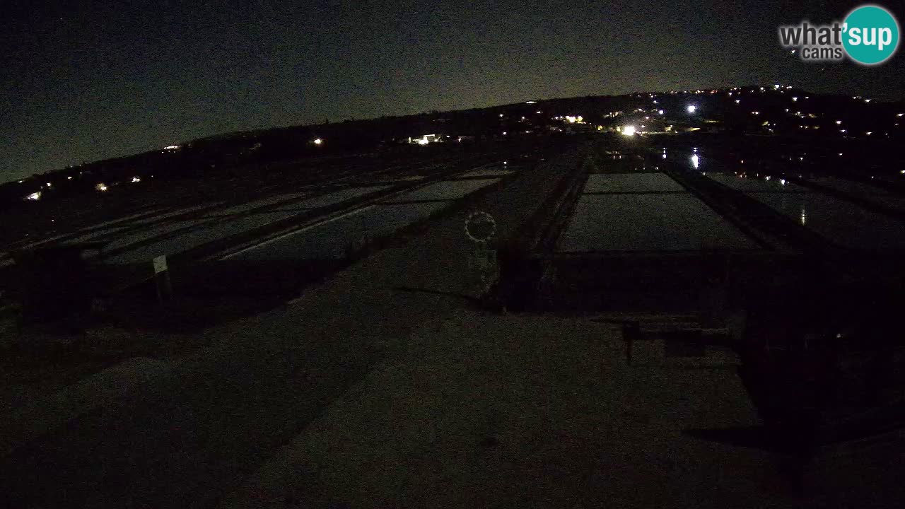 Sečovlje Salina Parque Natural