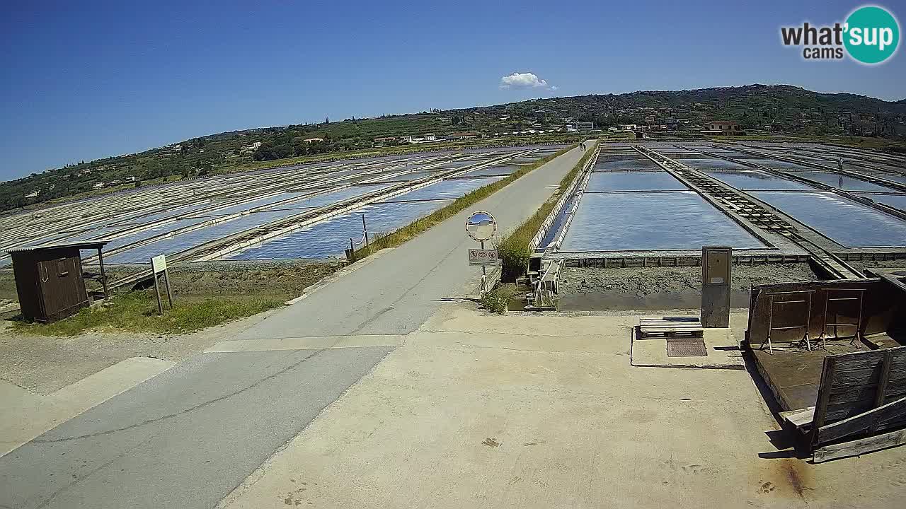Sečovlje Salina Nature Park