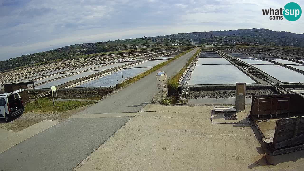 Krajinski Park Sečoveljske Soline
