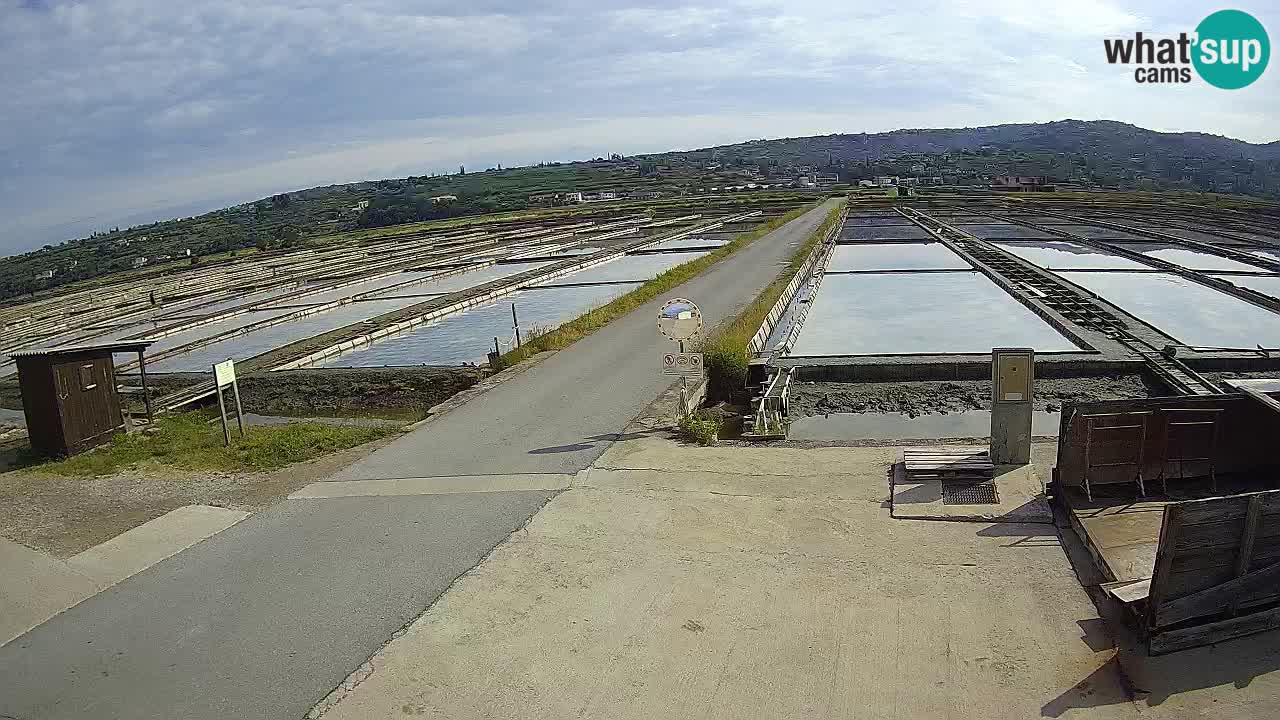 ﻿Sečovlje Salina Nature Park – KPSS