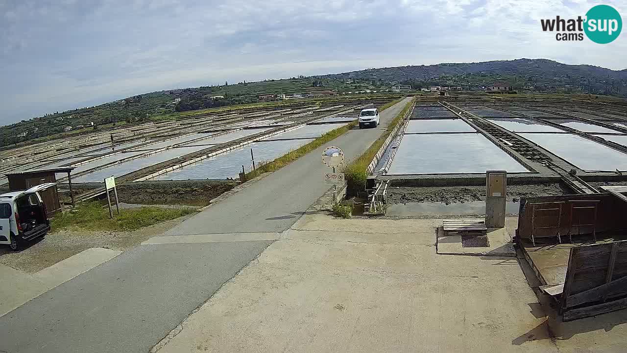 Parco Naturale Saline di Sicciole