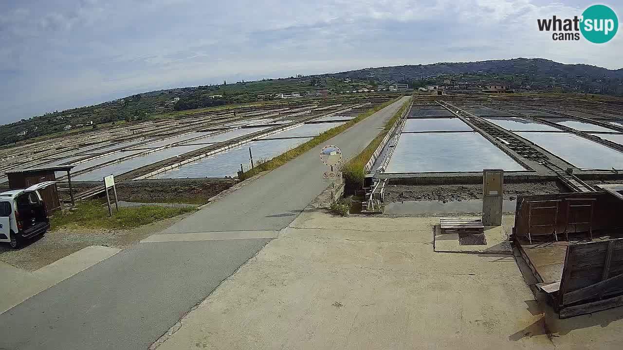 Sečovlje Salina Parque Natural