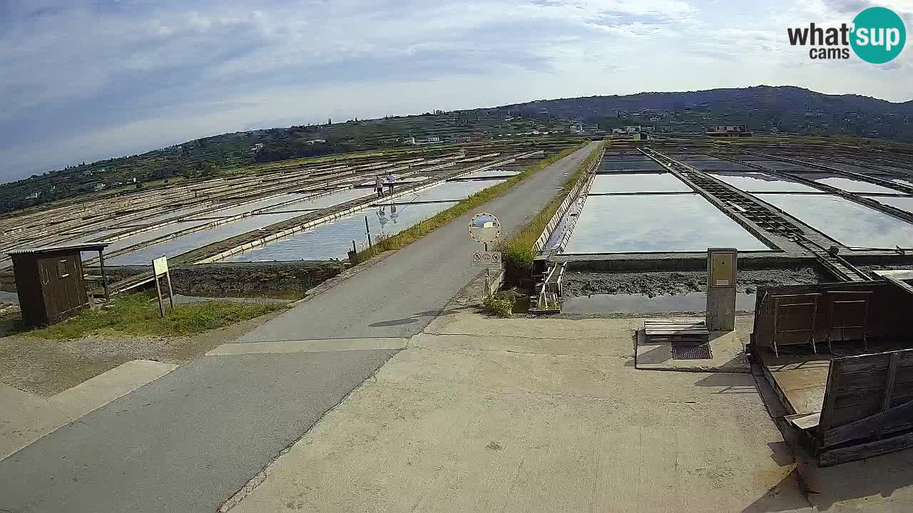Sečovlje Salina Nature Park