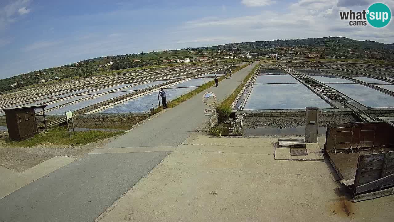 Sečovlje Salina Nature Park