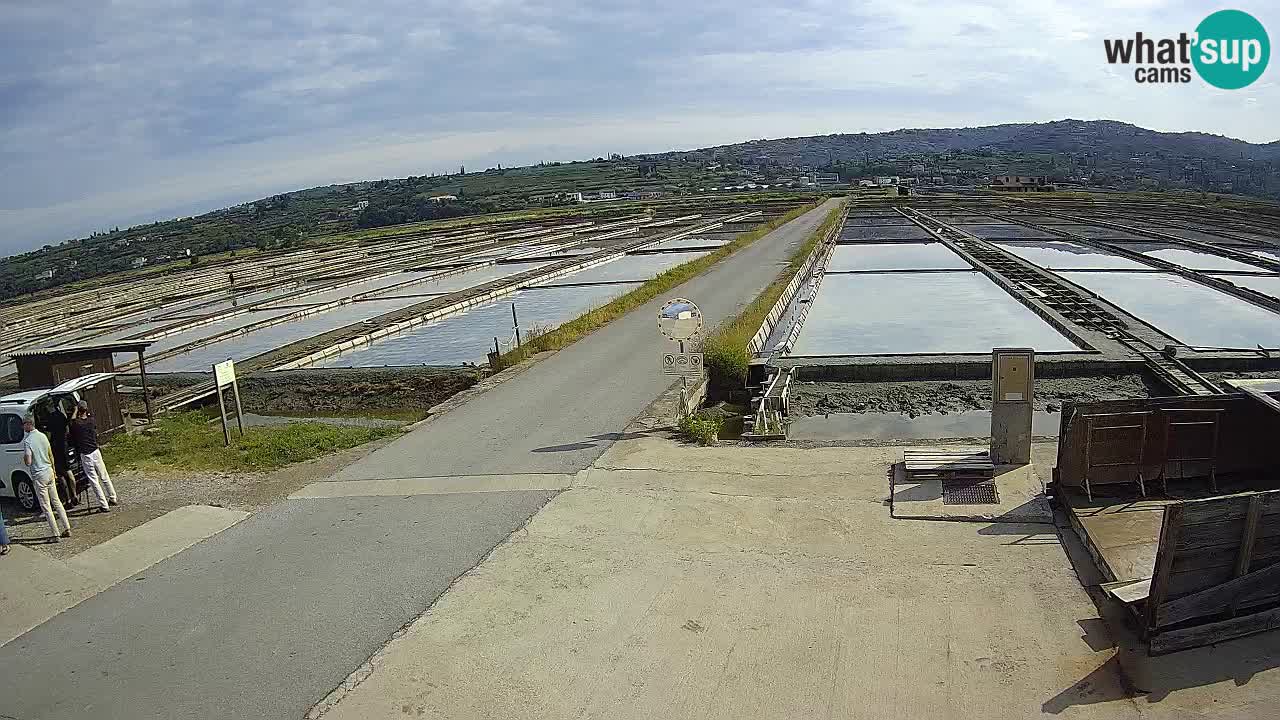 Naturpark der Salinen von Sečovlje