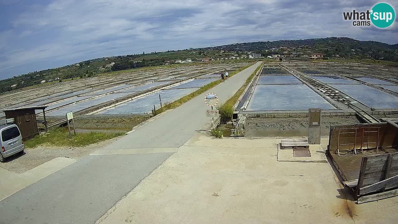 Parco Naturale Saline di Sicciole