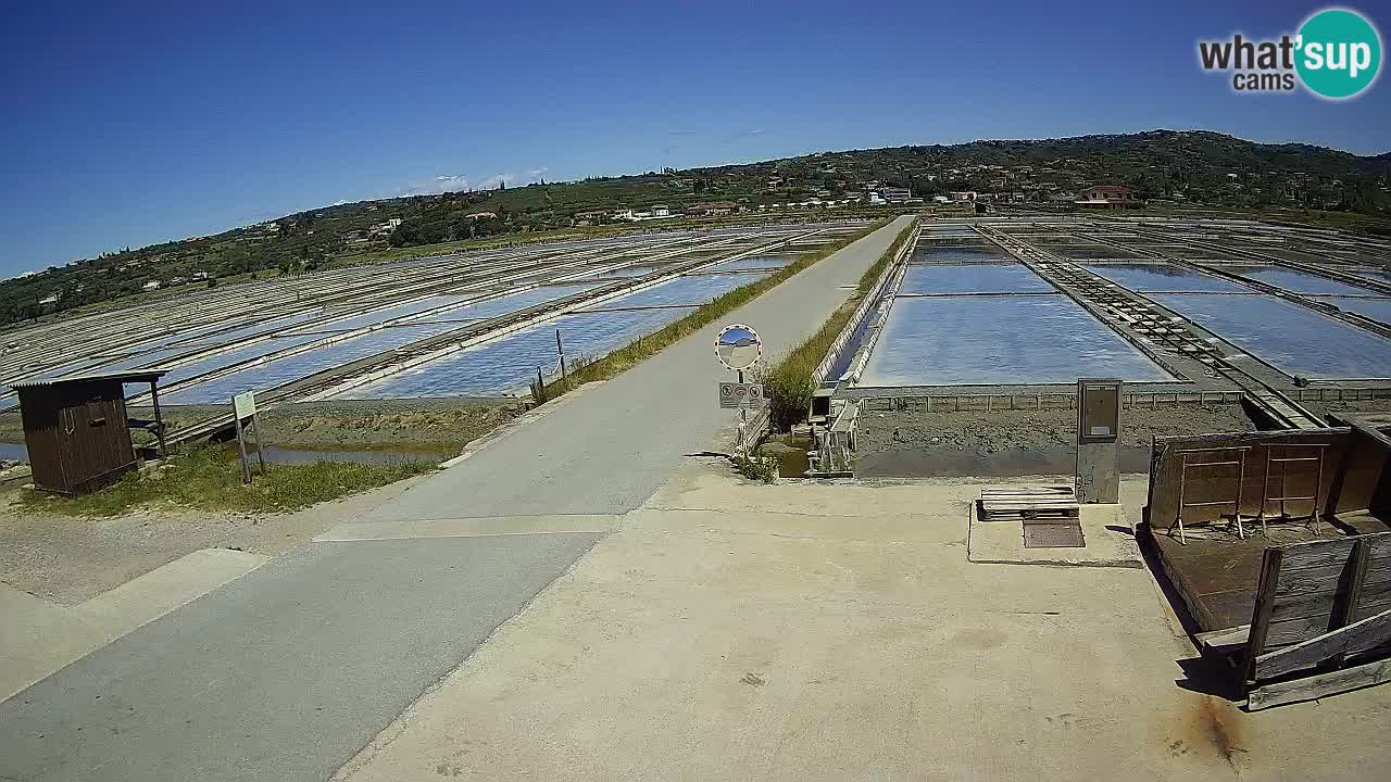 Parco Naturale Saline di Sicciole