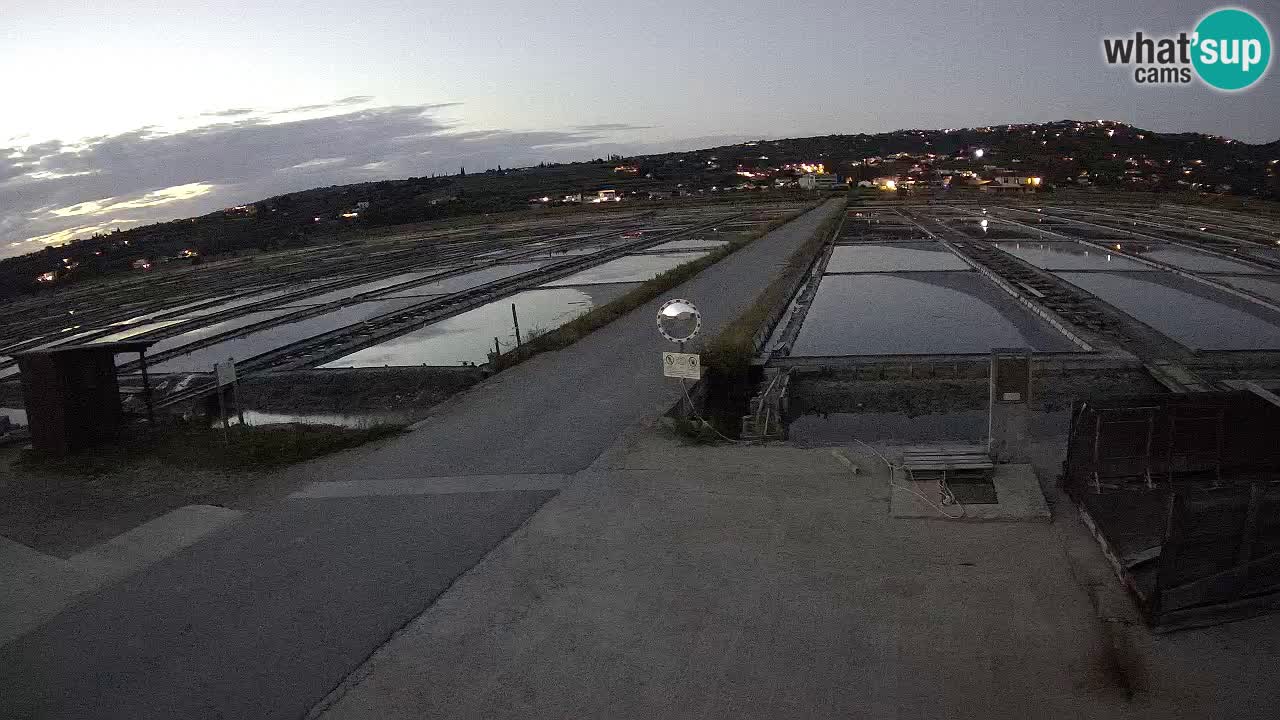 Sečovlje Salina Nature Park