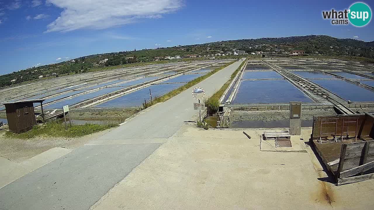 Parco Naturale Saline di Sicciole