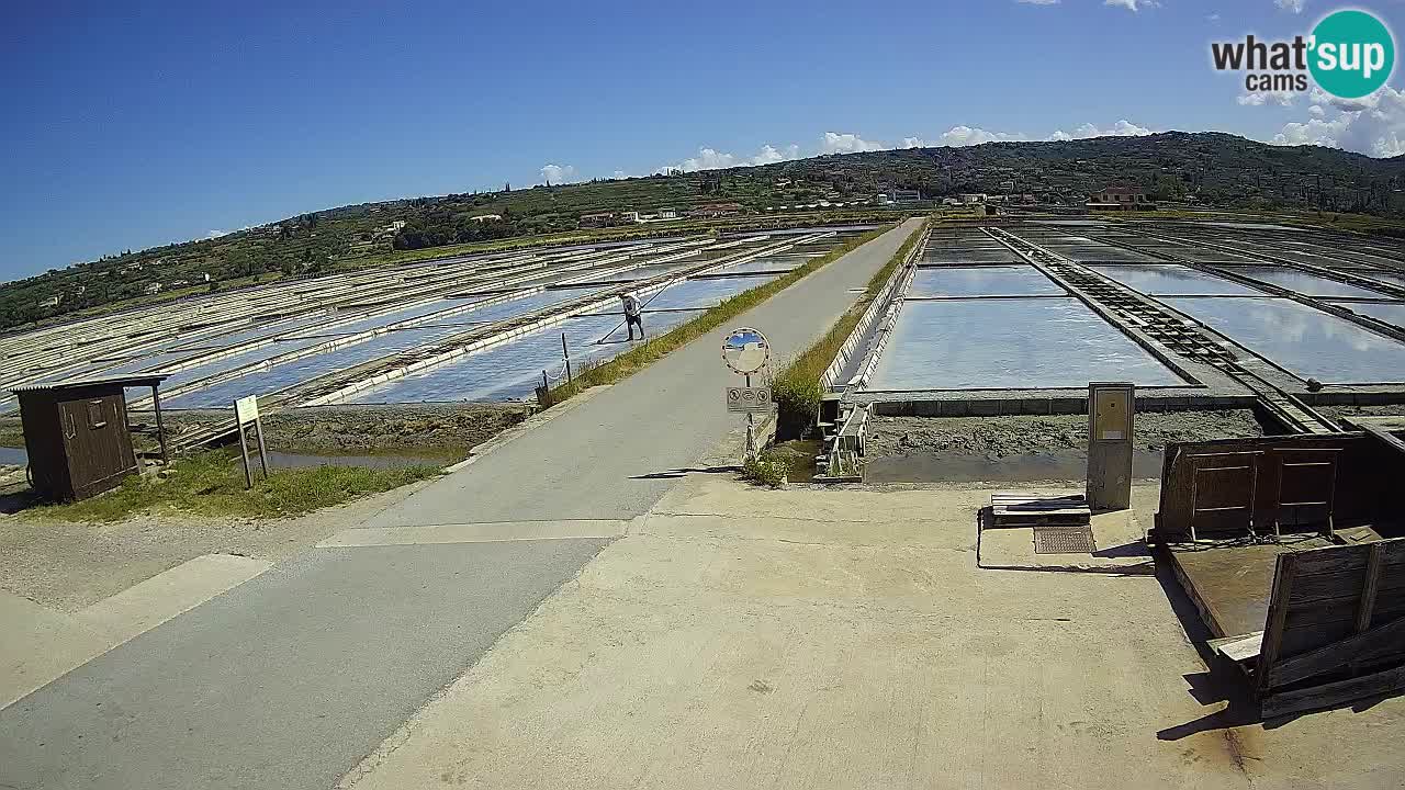Parco Naturale Saline di Sicciole