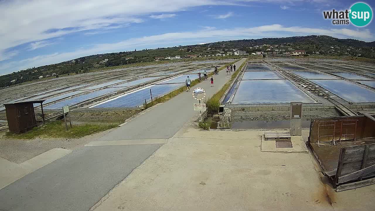 Krajinski Park Sečoveljske Soline