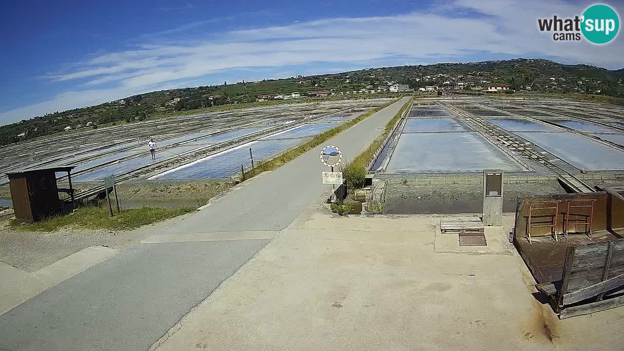Seča – Panorama and Salina