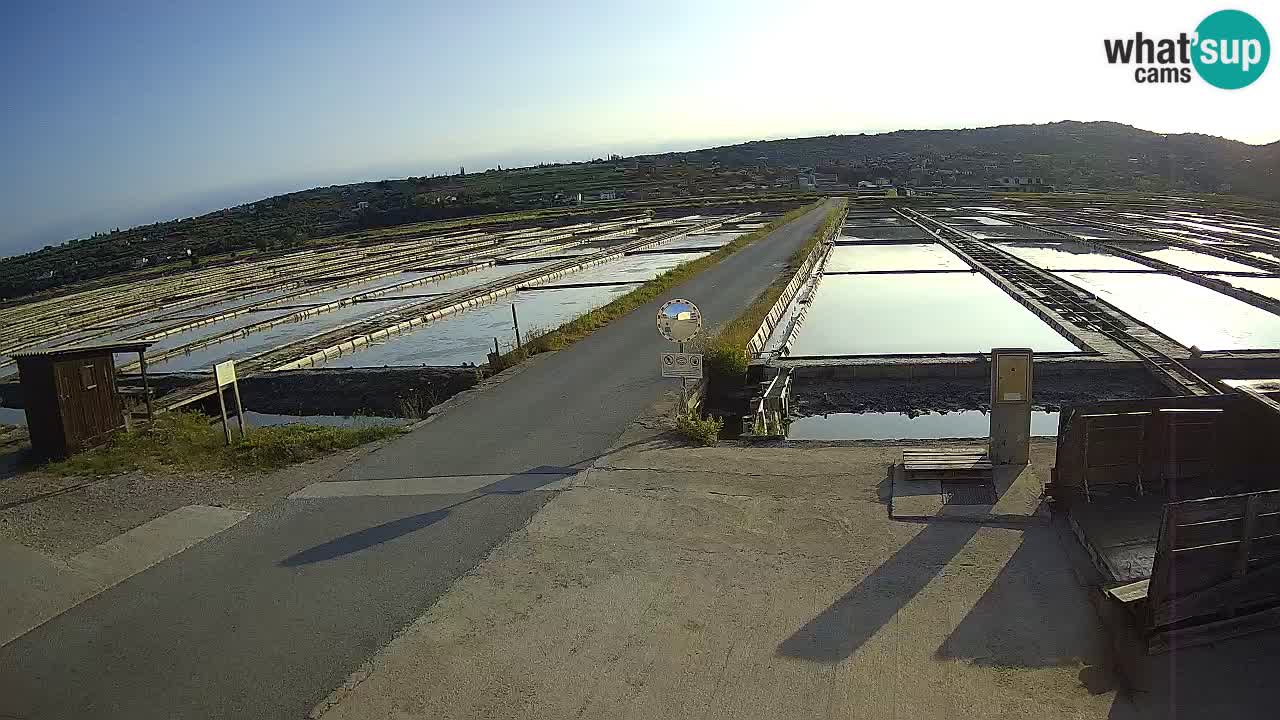 ﻿Sečovlje Salina Nature Park – KPSS