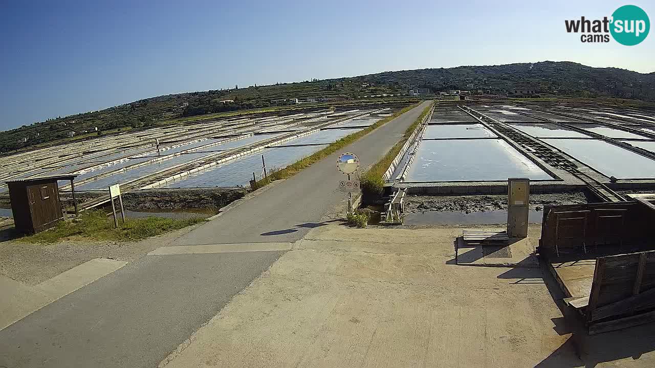 Seča – Panorama in soline