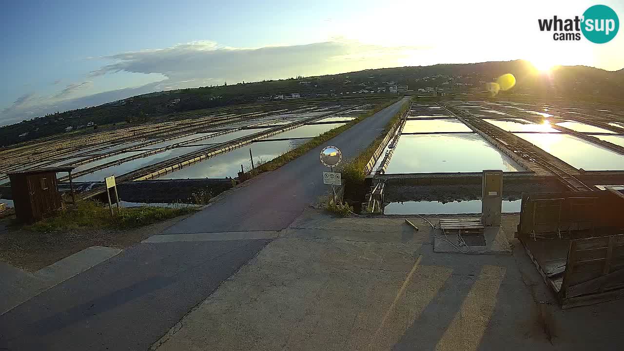 Park prirode Sečovlje Salina