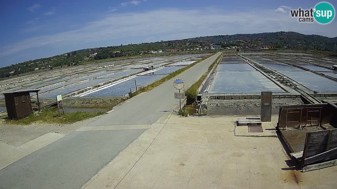 ﻿Sečovlje Salina Nature Park – KPSS
