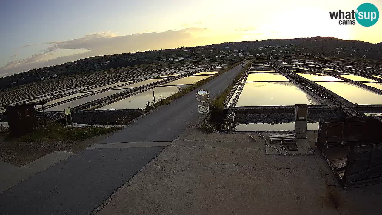 Sečovlje Salina Parque Natural