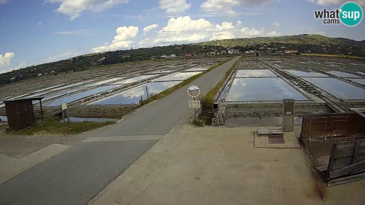 Krajinski Park Sečoveljske Soline