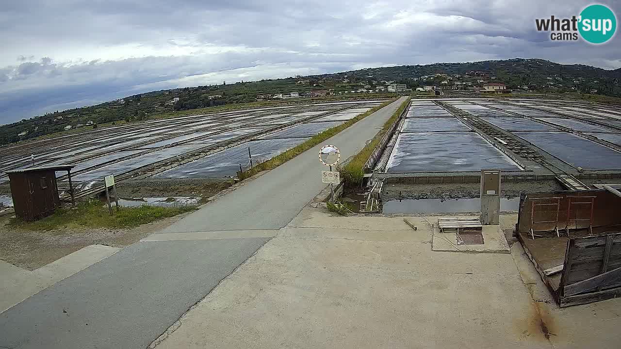 Sezza – Panorama e le saline